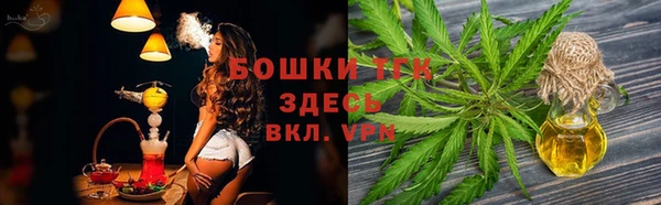 СК Алексин