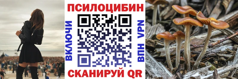 Галлюциногенные грибы Psilocybe Миасс
